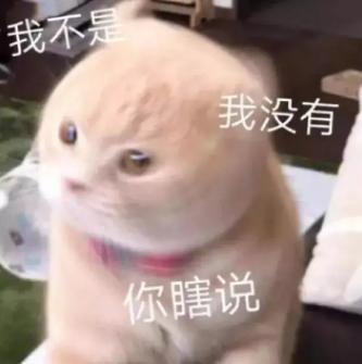 DƬ
